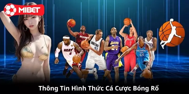 Giới thiệu đến tân binh về bóng rổ